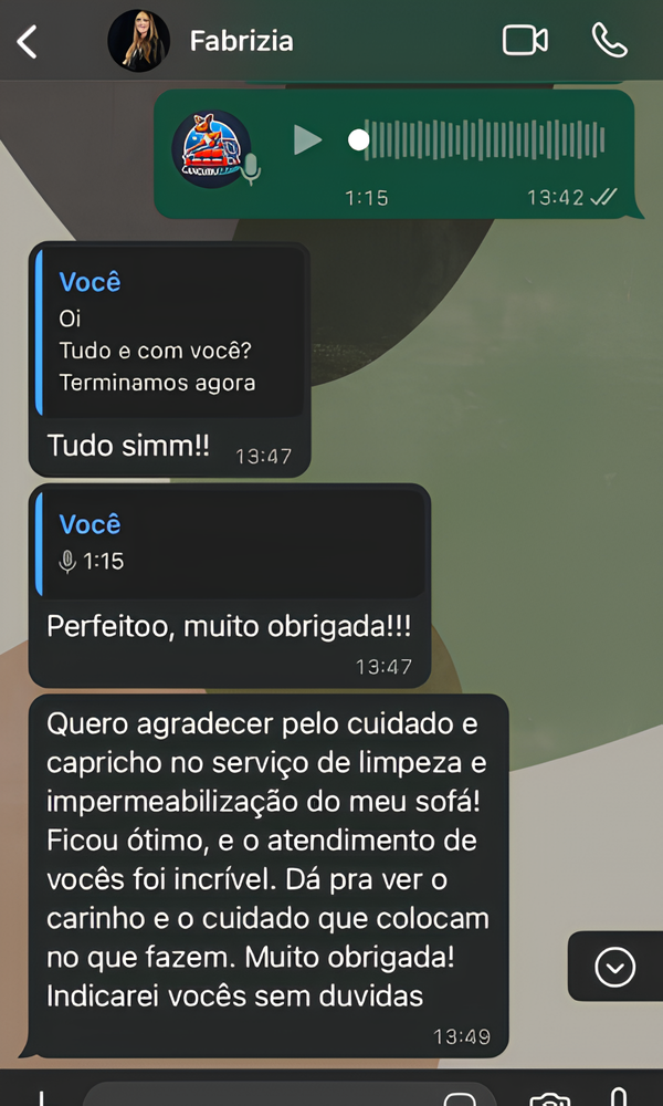 Design-sem-nome-2025-02-12T155234.231 (1)